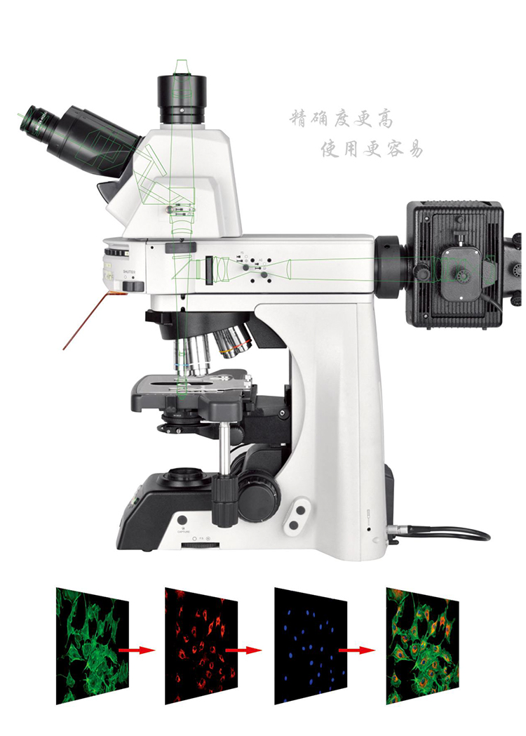 正置荧光显微镜NE910-FL-广州市明慧科技有限公司