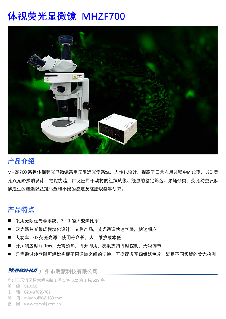 体视荧光显微镜MHZF700 国产体视荧光显微镜厂家-广州明慧