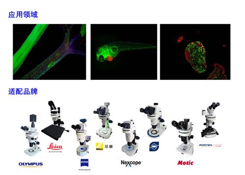 体视荧光模块适配显微镜品牌型号和应用实拍效果图-广州明慧