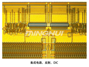 明慧倒置金相显微镜NIM900在集成电路反射DIC应用