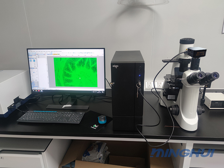 倒置荧光显微镜MHIF2000助力华南理工大学的细胞切片研究