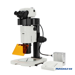 广州明慧体视荧光显微镜NSZ818