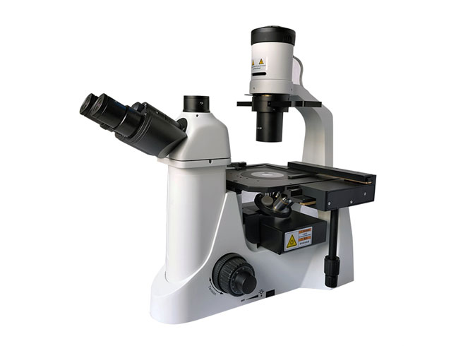 知识分享-荧光和荧光显微镜基础知识