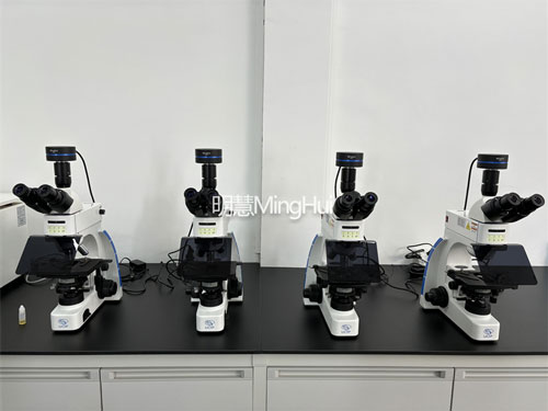 明慧MHF100荧光显微镜助力广州卫职院科研教学1---750