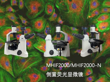 明慧倒置荧光显微镜型号：适配多场景需求，赋能科研与实验