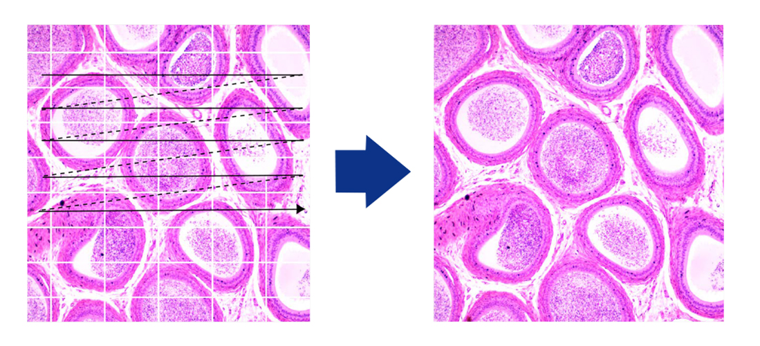 轻松实现大范围切片扫描