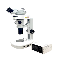 体视荧光MHZF700主体 - 240