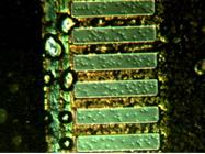 BD型号(1)-微分干涉观察