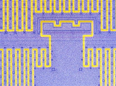 电子芯片，反射，明场