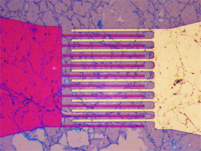 电极，反射，明场