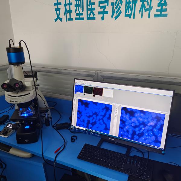 FISH医学影像工作站-600