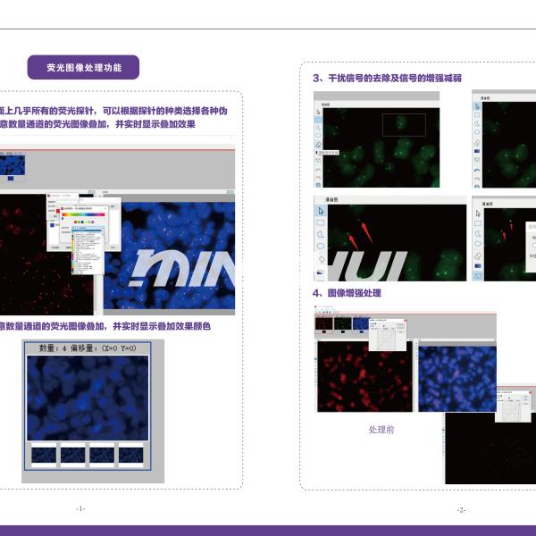 fish荧光图像处理功能和图文报告输出功能介绍-600