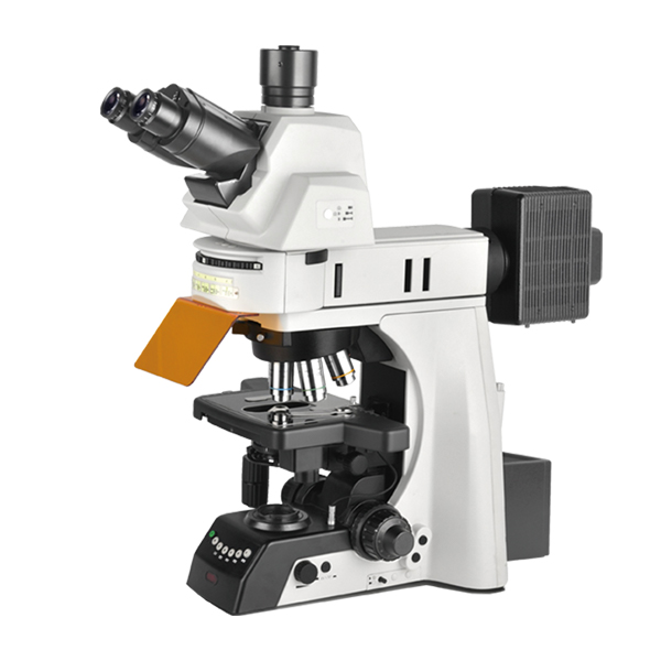 电动荧光显微镜NE930-FL