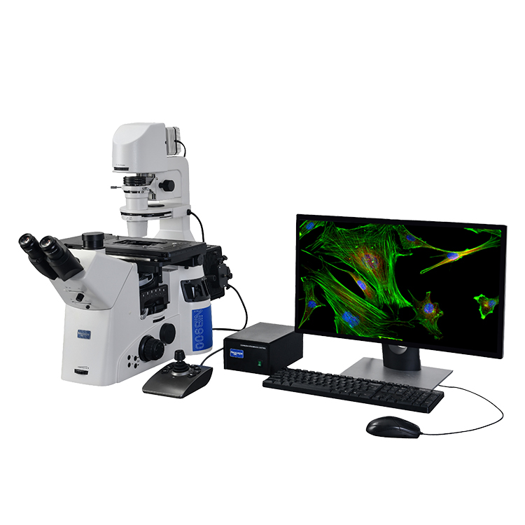 NIB900倒置生物荧光显微镜（750）