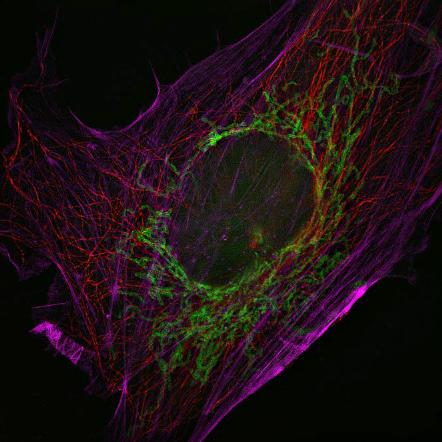 NCF1000 样品效果图 (1)