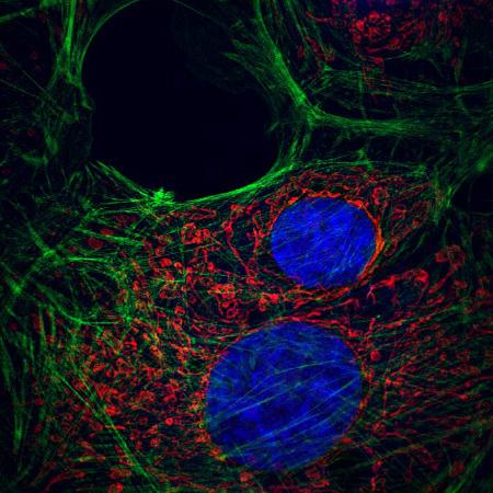NCF1000 样品效果图 (2)