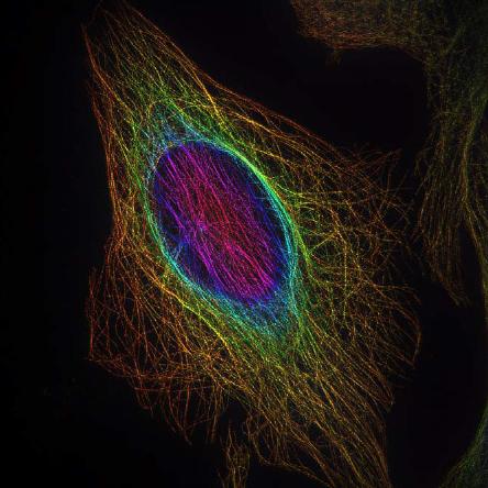 NCF1000 样品效果图 (3)