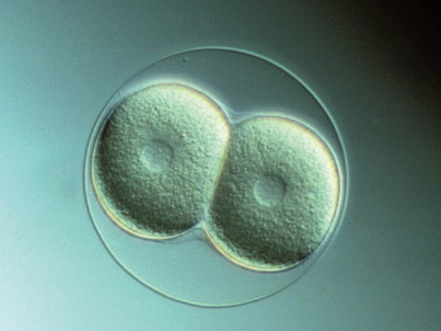 浮雕3D反差NIB600