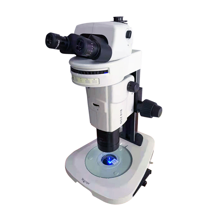 体视荧光显微镜NSZ818