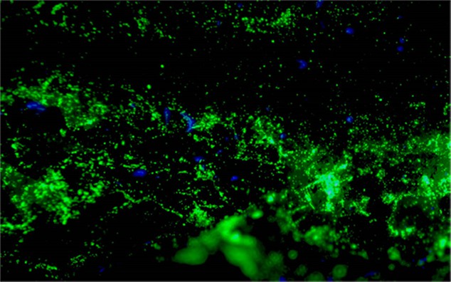 8164020092d94f8dd9fc6d7ce19b4e1