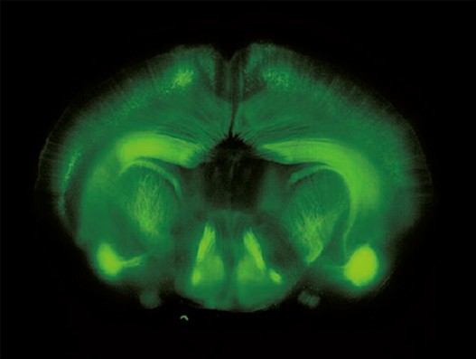 f71da9a31a49254d19ad0a76a64ac50