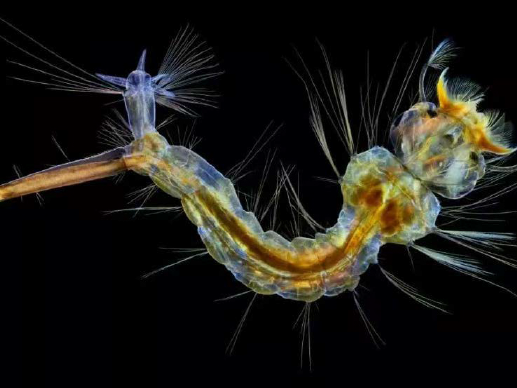 NSZ7系列适用场景效果图-暗场