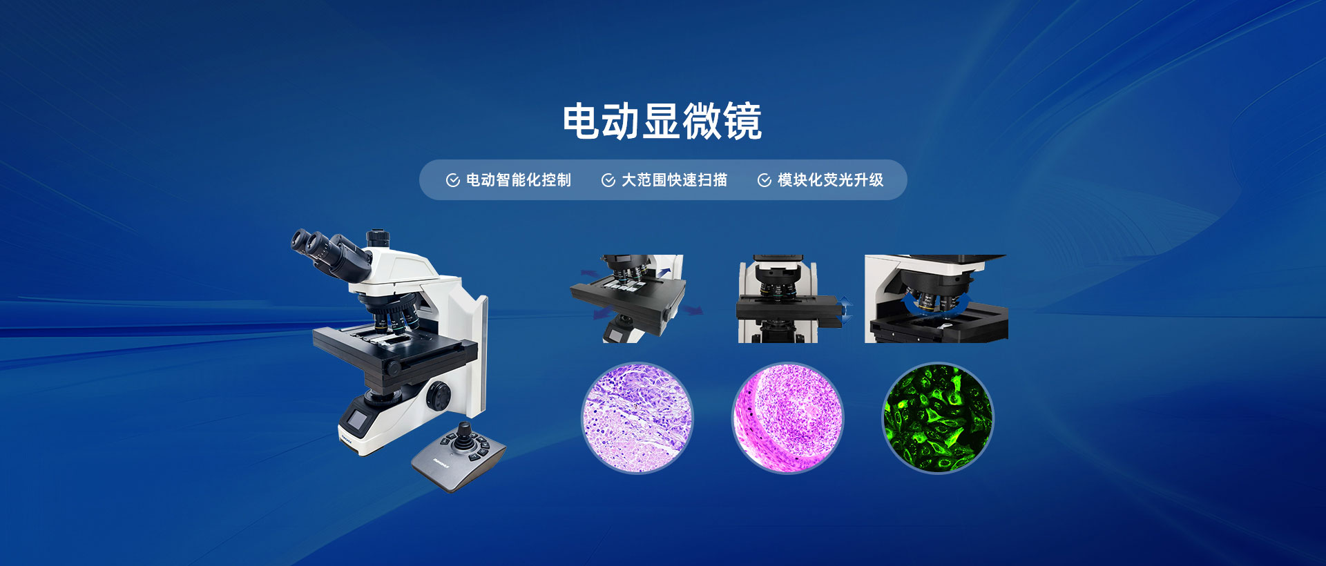 电动显微镜-电动智能化控制,大范围快速扫描,模块化荧光升级