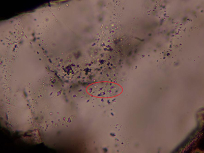 奥林巴斯BX43显微镜反射金相观察