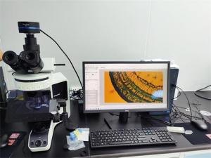 正置六孔LED荧光模块匹配奥林巴斯显微镜BX53 (2).jpg
