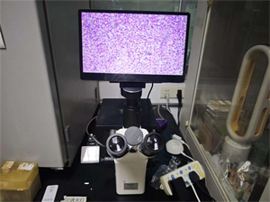 倒置生物显微镜成像系统应用于细胞观察1.jpg