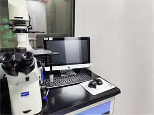 倒置荧光显微镜应用于脑细胞研究1