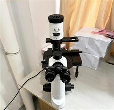 MHIL-200倒置生物显微镜应用于精子观察.jpg