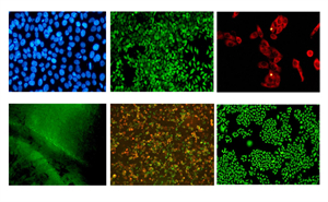 05 倒置LED荧光附件 HIFL-UBG（集成款）-中性-2.jpg