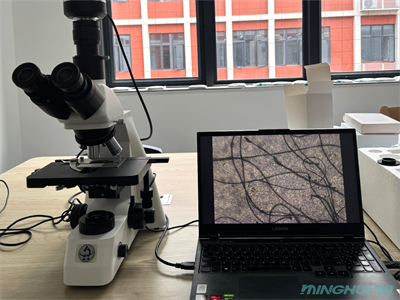 1生物显微镜MHL3000应用于观察纤维