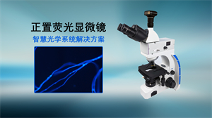 真菌荧光显微镜与图文报告系统-明慧UB203i-FL应用案例1.jpg