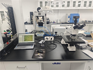 MHML-302BD正置金相显微镜与MHD2000显微镜摄像头应用于稀土陶瓷表面观测1