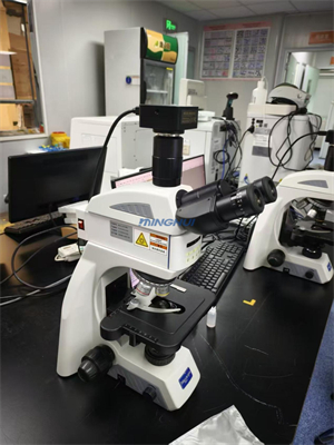 明慧显微镜NE610和正置三色荧光模块用于真菌荧光观察1