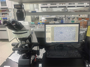 显微镜NE910+MHD2000摄像头助力广州研究所实验室研究神经纤维系统1