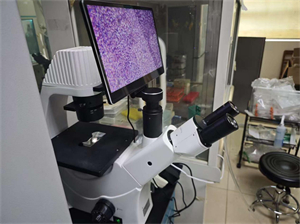 3.倒置生物显微镜成像系统应用于细胞观察2.jpg