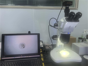 3.明慧体视显微镜MHZ201和摄像头MHD2000应用于鱼卵研究观察1.jpg