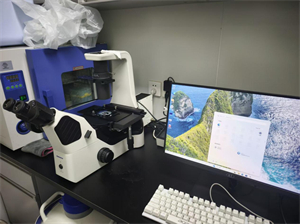 5.明慧倒置荧光显微镜MHIF3000和MHS900成像相机助力广州高校细胞生物学研究 (1).jpg